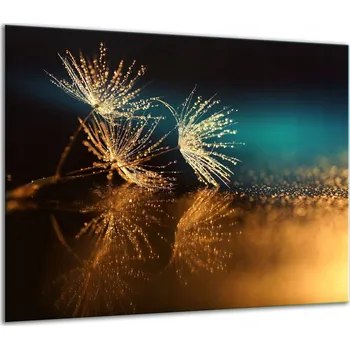 Obraz SKLENĚNÁ OCHRANNÁ DESKA NA SPORÁK 60x52 KVĚTINY