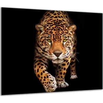 Obraz SKLENĚNÁ OCHRANNÁ DESKA NA SPORÁK 60x52 KOČKA, tvrzené sklo 7v1