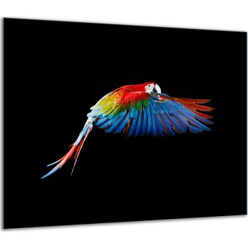 Obraz SKLENĚNÁ OCHRANNÁ DESKA NA SPORÁK 60x52 PTÁK