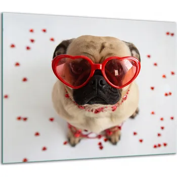 Obraz SKLENĚNÁ OCHRANNÁ DESKA NA SPORÁK 60x52 PES (PIES)