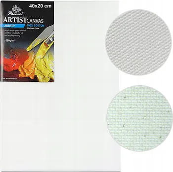 Obraz 20x40 cm Malířské Plátno Phoenix Premium