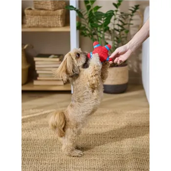 Hračka pro psa Sinsay - Hračka pro psa - červená - 330EJ-33X - 330EJ-33X-ONE