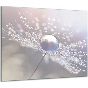 Obraz SKLENĚNÁ OCHRANNÁ DESKA NA SPORÁK 60x52 KVĚTINY