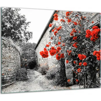 Obraz SKLENĚNÁ OCHRANNÁ DESKA NA SPORÁK 60x52 ULICE