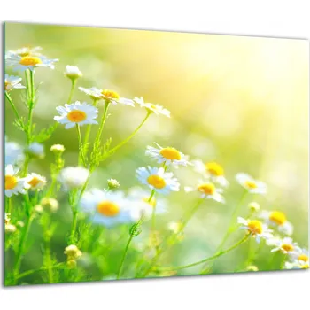 Obraz SKLENĚNÁ OCHRANNÁ DESKA NA SPORÁK 60x52 KVĚTINY