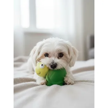 Hračka pro psa Sinsay - Pískací hračka pro psy ve tvaru želvy - zelená - 831IA-70X - 831IA-70X-ONE