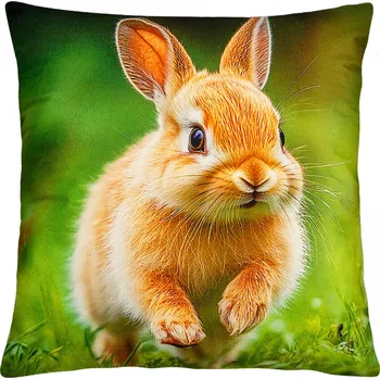 Polštář Dekorační polštář s motivem - ZAJÍČEK III. 40x40 cm Mybesthome Varianta: Povlak na polštář, 40x40 cm