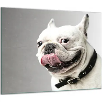 Obraz SKLENĚNÁ OCHRANNÁ DESKA NA SPORÁK 60x52 PES (PIES)