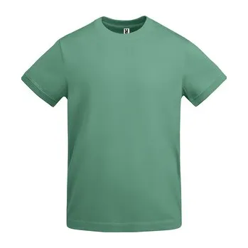 Pánské oblečení Pánské tričko Veza, pastelová zelená, Velikost XXL