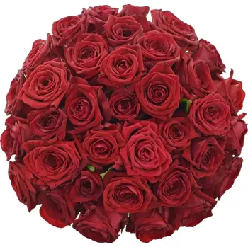 umělá květina Kytice 35 červených růží RED NAOMI! 80 cm