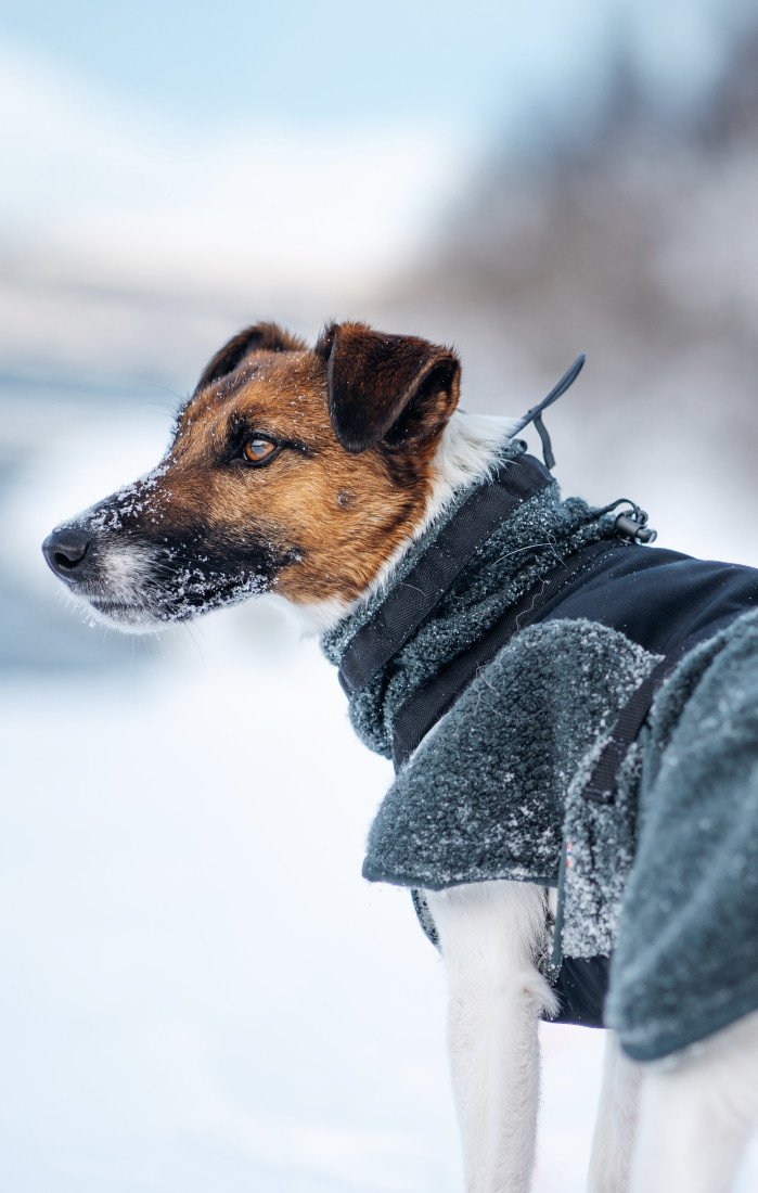 Non-stop Dogwear Mikina Wool dog jacket - dark teal Velikost: 27,