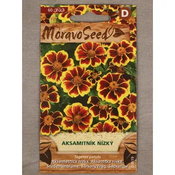 Semeno Aksamitník nízký