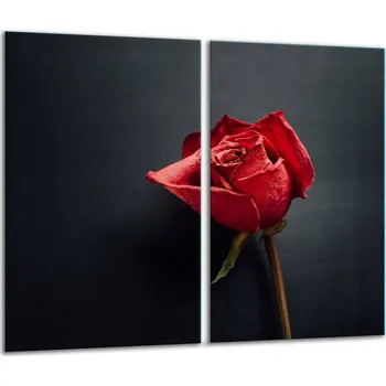 Obraz SKLENĚNÁ DESKA NA KRAJENÍ 2x30x52 RŮŽE Tvrzené Sklo KUCHYŇSKÁ 7v1