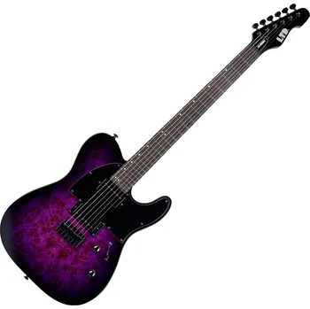 Elektrická kytara ESP LTD TE-200DX Purple Burst Elektrická kytara
