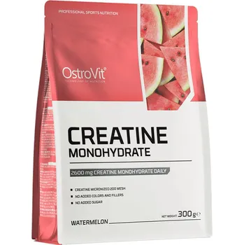 Kreatin OstroVit Kreatin monohydrát (300 g, Meloun)