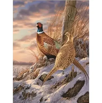 Puzzle NORIMPEX Diamantové malování Bažanti v zimě 30x40cm