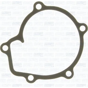 Chladič motoru Těsnění, vodní čerpadlo AJUSA 00679600