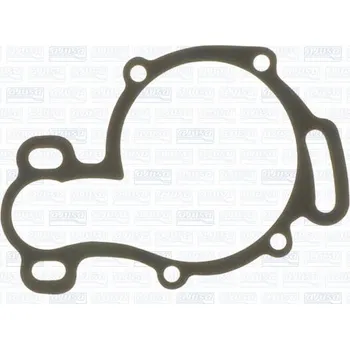 Chladič motoru Těsnění, vodní čerpadlo AJUSA 00637400