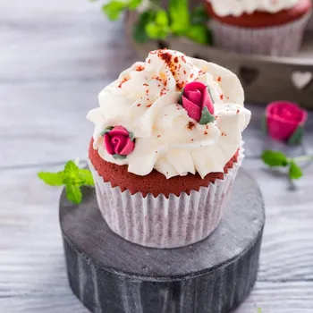 Zeelandia Zeesan Neutral 250g