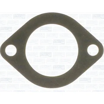 Chladič motoru Těsnění, vodní čerpadlo AJUSA 00425200