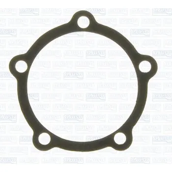 Chladič motoru Těsnění, vodní čerpadlo AJUSA 00249600