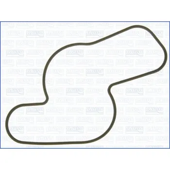 Chladič motoru Těsnění, vodní čerpadlo AJUSA 00703900