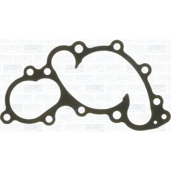 Chladič motoru Těsnění, vodní čerpadlo AJUSA 00698300