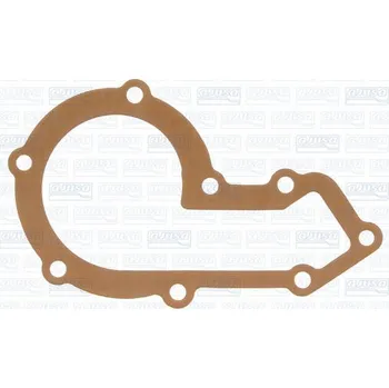 Chladič motoru Těsnění, vodní čerpadlo AJUSA 00756300