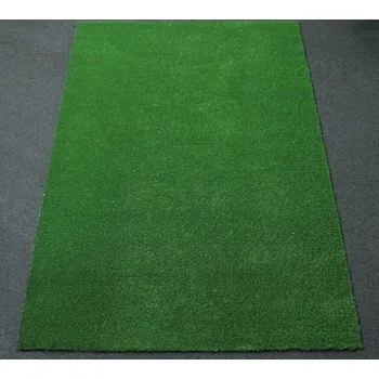 Koberec Umělý travní koberec 100 x 250 cm Little Grass