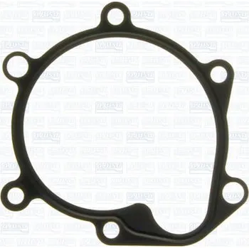 Chladič motoru Těsnění, vodní čerpadlo AJUSA 00702600