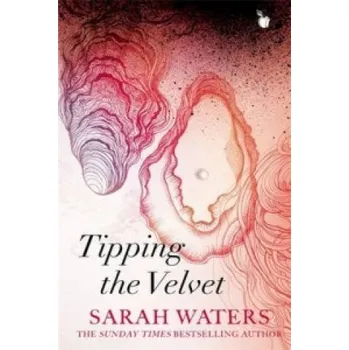 Beletrie pro dospělé Tipping The Velvet – Sarah Waters (EN)
