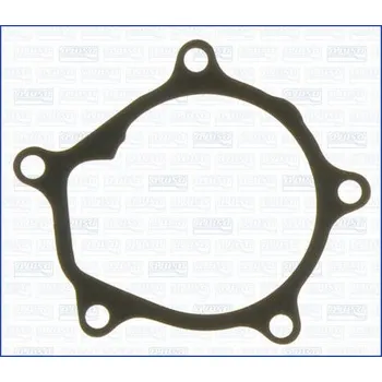 Chladič motoru Těsnění, vodní čerpadlo AJUSA 00417300