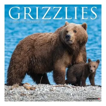 Kalendář Grizzlies 2026 12 X 12 Wall Calendar (EN)