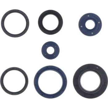 Centauro Gufera motoru sada Peugeot 125 866A018SR