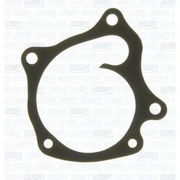 Chladič motoru Těsnění, vodní čerpadlo AJUSA 00246300