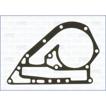 Chladič motoru Těsnění, vodní čerpadlo AJUSA 00295400