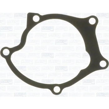 Chladič motoru Těsnění, vodní čerpadlo AJUSA 00634400