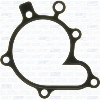 Chladič motoru Těsnění, vodní čerpadlo AJUSA 00704300