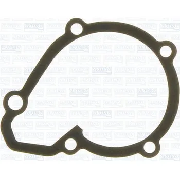 Chladič motoru Těsnění, vodní čerpadlo AJUSA 00474000