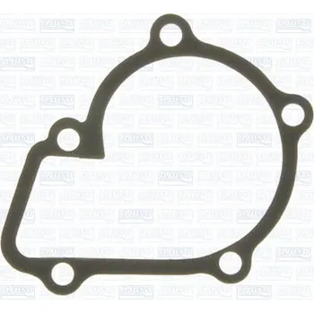 Chladič motoru Těsnění, vodní čerpadlo AJUSA 00815300