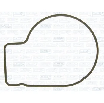 Chladič motoru Těsnění, vodní čerpadlo AJUSA 00667400