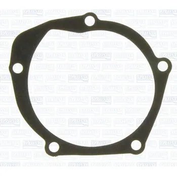 Chladič motoru Těsnění, vodní čerpadlo AJUSA 00289700