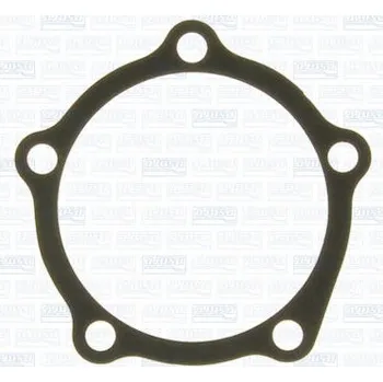 Chladič motoru Těsnění, vodní čerpadlo AJUSA 00832800