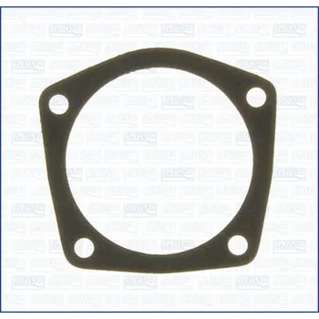 Chladič motoru Těsnění, vodní čerpadlo AJUSA 00169400