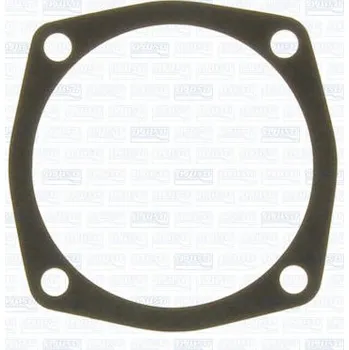 Chladič motoru Těsnění, vodní čerpadlo AJUSA 00379300