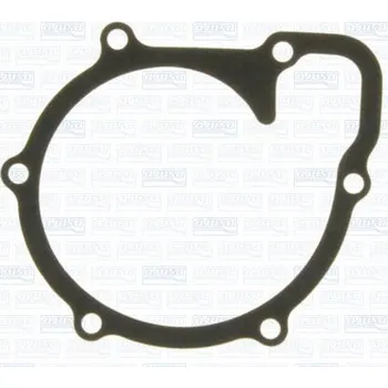 Chladič motoru Těsnění, vodní čerpadlo AJUSA 00446500