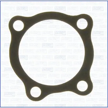 Chladič motoru Těsnění, vodní čerpadlo AJUSA 00387900