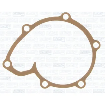 Chladič motoru Těsnění, vodní čerpadlo AJUSA 00315700