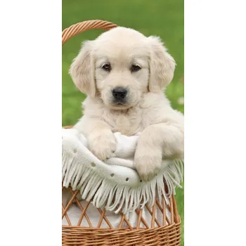 Plážová osuška Pejsek v košíku