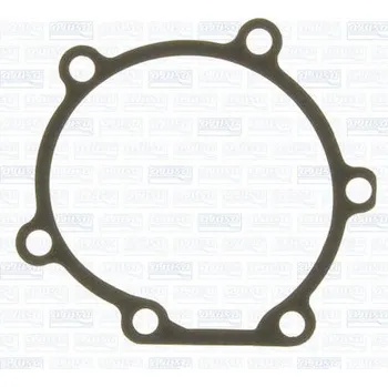 Chladič motoru Těsnění, vodní čerpadlo AJUSA 01057400